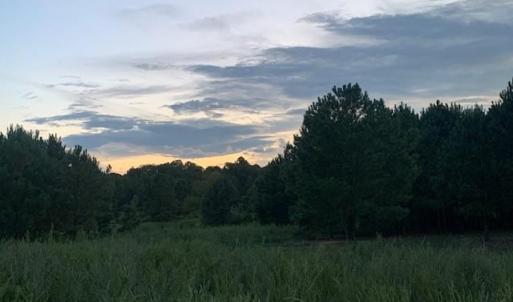 Photo #7 of 122 Ac Benn's Grant (off of) Boulevard, Smithfield, Virginia 122.6 acres