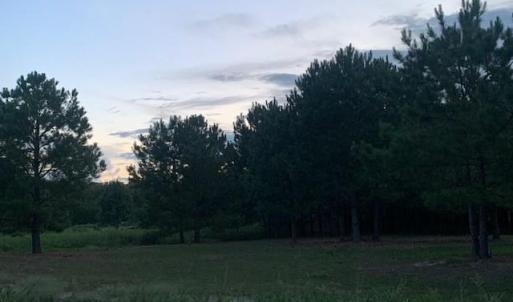 Photo #9 of 122 Ac Benn's Grant (off of) Boulevard, Smithfield, Virginia 122.6 acres