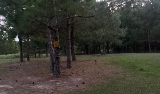Photo #11 of 122 Ac Benn's Grant (off of) Boulevard, Smithfield, Virginia 122.6 acres
