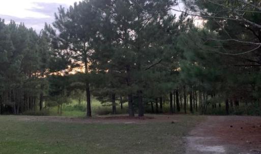 Photo #15 of 122 Ac Benn's Grant (off of) Boulevard, Smithfield, Virginia 122.6 acres