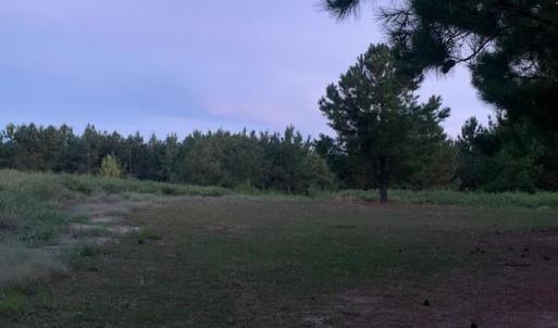 Photo #4 of 122 Ac Benn's Grant (off of) Boulevard, Smithfield, Virginia 122.6 acres