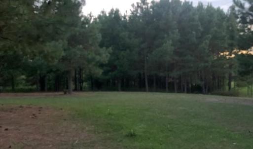 Photo #5 of 122 Ac Benn's Grant (off of) Boulevard, Smithfield, Virginia 122.6 acres