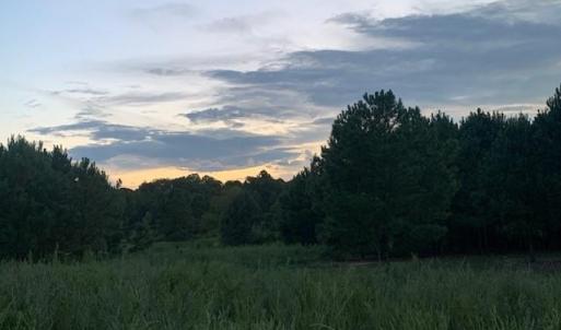Photo #7 of 122 Ac Benn's Grant (off of) Boulevard, Smithfield, Virginia 122.6 acres
