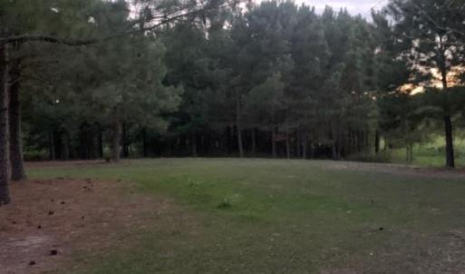 Photo #10 of 122 Ac Benn's Grant (off of) Boulevard, Smithfield, Virginia 122.6 acres