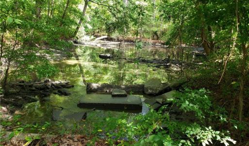 Photo #3 of 206 Bob White Street, Portsmouth, Virginia 4.8 acres