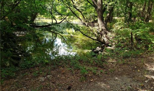 Photo #4 of 206 Bob White Street, Portsmouth, Virginia 4.8 acres
