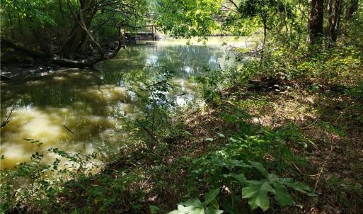 Photo #6 of 206 Bob White Street, Portsmouth, Virginia 4.8 acres
