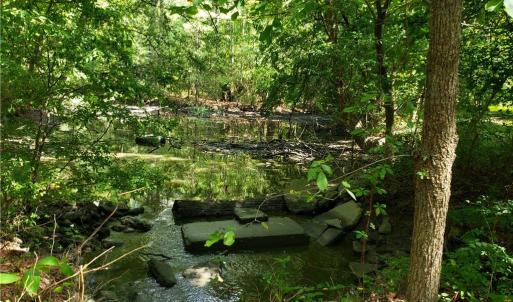 Photo #7 of 206 Bob White Street, Portsmouth, Virginia 4.8 acres