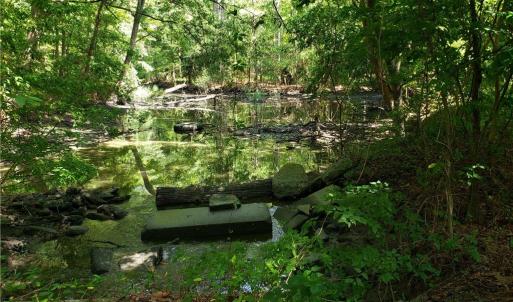 Photo #8 of 206 Bob White Street, Portsmouth, Virginia 4.8 acres