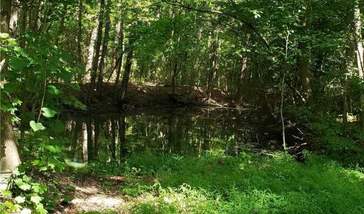 Photo #9 of 206 Bob White Street, Portsmouth, Virginia 4.8 acres
