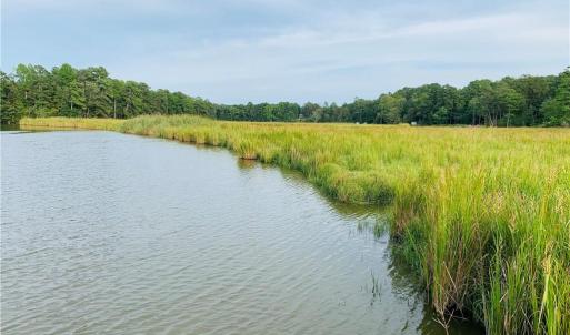 Lot 4 Paddock has 5 Acres of Waterfront with 5' Mean Low Water - Great Fishing and Bird Watching