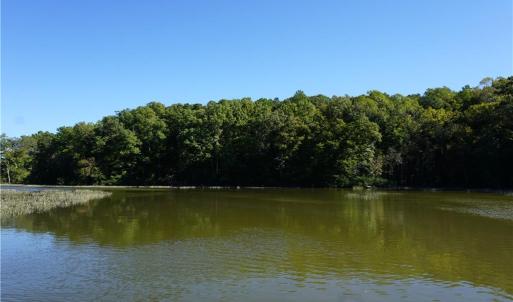 Photo #3 of 1000 England Circle, Williamsburg, Virginia 12.3 acres