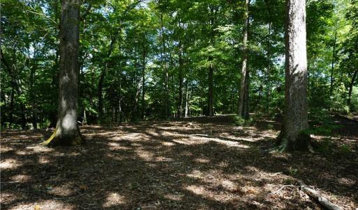 Photo #14 of 1000 England Circle, Williamsburg, Virginia 12.3 acres