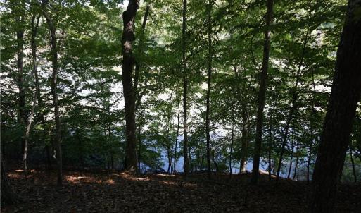 Photo #17 of 1000 England Circle, Williamsburg, Virginia 12.3 acres