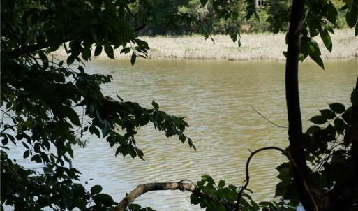 Photo #18 of 1000 England Circle, Williamsburg, Virginia 12.3 acres