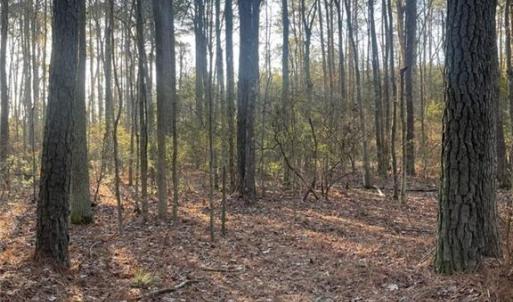 Photo #1 of SOLD property in 244Ac Buzzard Point Road, Mathews, Virginia 244.0 acres