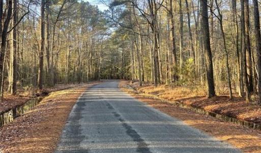 Photo #4 of SOLD property in 244Ac Buzzard Point Road, Mathews, Virginia 244.0 acres