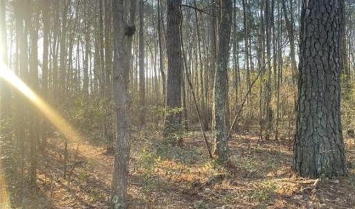 Photo #7 of SOLD property in 244Ac Buzzard Point Road, Mathews, Virginia 244.0 acres