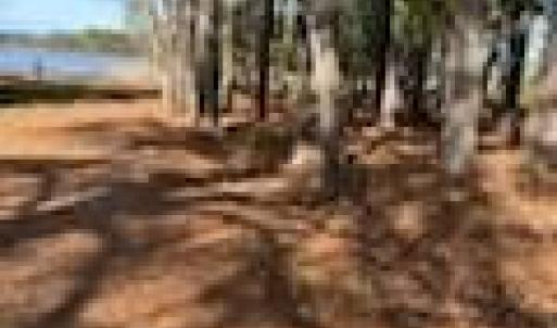 Photo #11 of Lot 8 LANDING Road, North, Virginia 0.5 acres