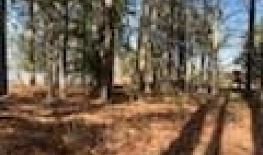 Photo #12 of Lot 8 LANDING Road, North, Virginia 0.5 acres