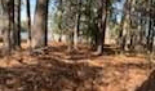 Photo #14 of Lot 8 LANDING Road, North, Virginia 0.5 acres