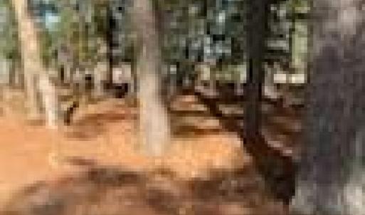 Photo #15 of Lot 8 LANDING Road, North, Virginia 0.5 acres