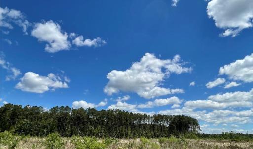 Photo #1 of 81+ AC Indian Trail, Suffolk, Virginia 81.7 acres