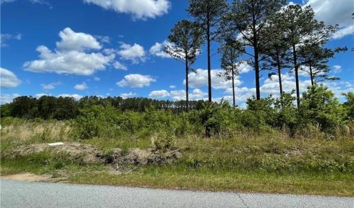 Photo #11 of 81+ AC Indian Trail, Suffolk, Virginia 81.7 acres