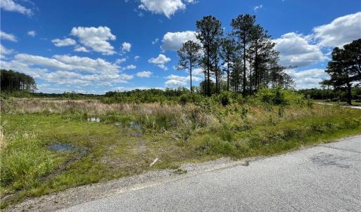 Photo #15 of 81+ AC Indian Trail, Suffolk, Virginia 81.7 acres