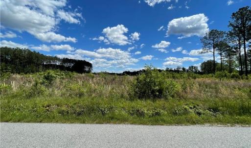 Photo #19 of 81+ AC Indian Trail, Suffolk, Virginia 81.7 acres