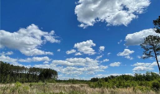 Photo #3 of 81+ AC Indian Trail, Suffolk, Virginia 81.7 acres