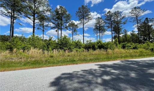 Photo #7 of 81+ AC Indian Trail, Suffolk, Virginia 81.7 acres