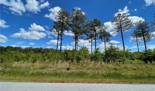 Photo #8 of 81+ AC Indian Trail, Suffolk, Virginia 81.7 acres