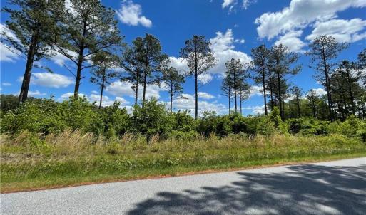 Photo #9 of 81+ AC Indian Trail, Suffolk, Virginia 81.7 acres