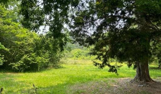 Photo #3 of 6009 Occohannock Neck Road, Exmore, Virginia 1.7 acres