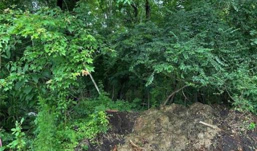 Photo #1 of 4225 Clifton Street, Suffolk, Virginia