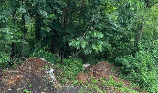 Photo #4 of 4225 Clifton Street, Suffolk, Virginia