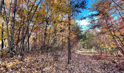 Photo #12 of 1928 Frye, Westfield, NC 77.0 acres