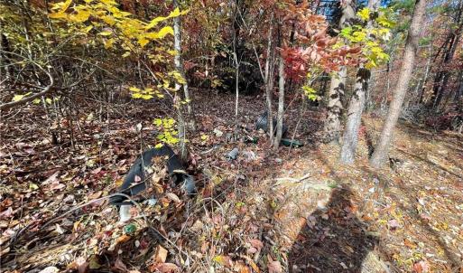 Photo #7 of 1928 Frye, Westfield, NC 77.0 acres