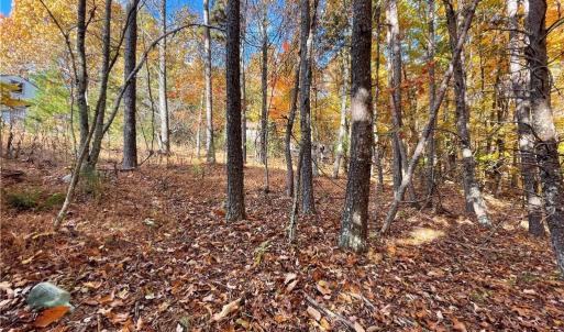 Photo #5 of 1928 Frye, Westfield, NC 77.0 acres