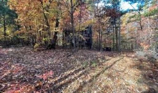 Photo #20 of 1928 Frye, Westfield, NC 77.0 acres