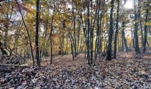 Photo #11 of 1928 Frye, Westfield, NC 77.0 acres