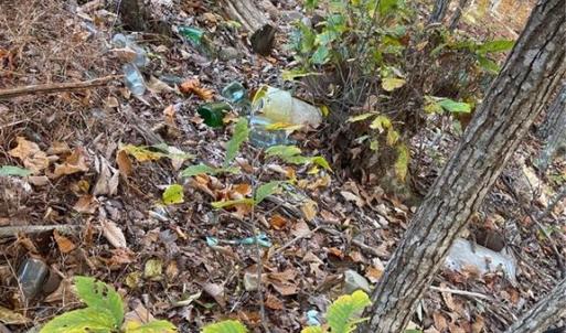 Photo #8 of 1928 Frye, Westfield, NC 77.0 acres