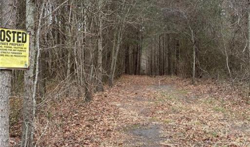 Photo #3 of 184AC Gates Road, Suffolk, Virginia 184.0 acres