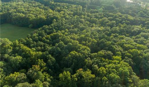 Photo #16 of Island Road, Gloucester, Virginia 10.5 acres