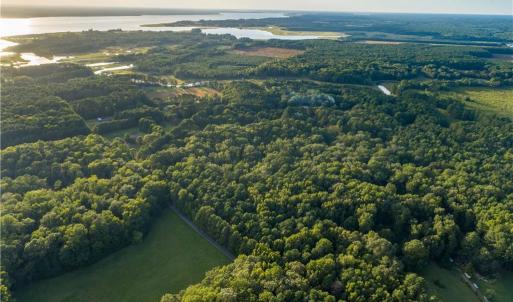 Photo #19 of Island Road, Gloucester, Virginia 10.5 acres
