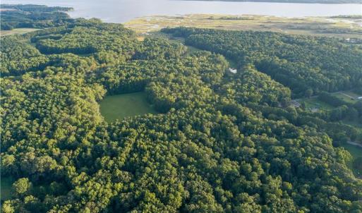 Photo #21 of Island Road, Gloucester, Virginia 10.5 acres