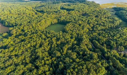 Photo #22 of Island Road, Gloucester, Virginia 10.5 acres