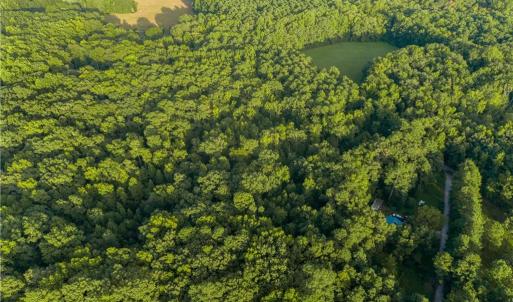 Photo #24 of Island Road, Gloucester, Virginia 10.5 acres