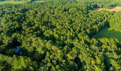 Photo #5 of Island Road, Gloucester, Virginia 10.5 acres